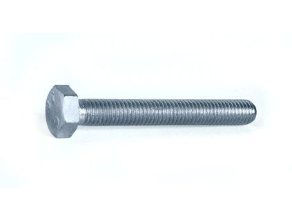 Skrutka M8/80 mm