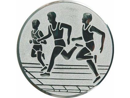d2-a32-s-emblem-pr-50mm-beh-striebro.jpg