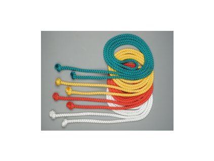 Svihadlo gymnasticke