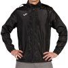 343905_102.jpg