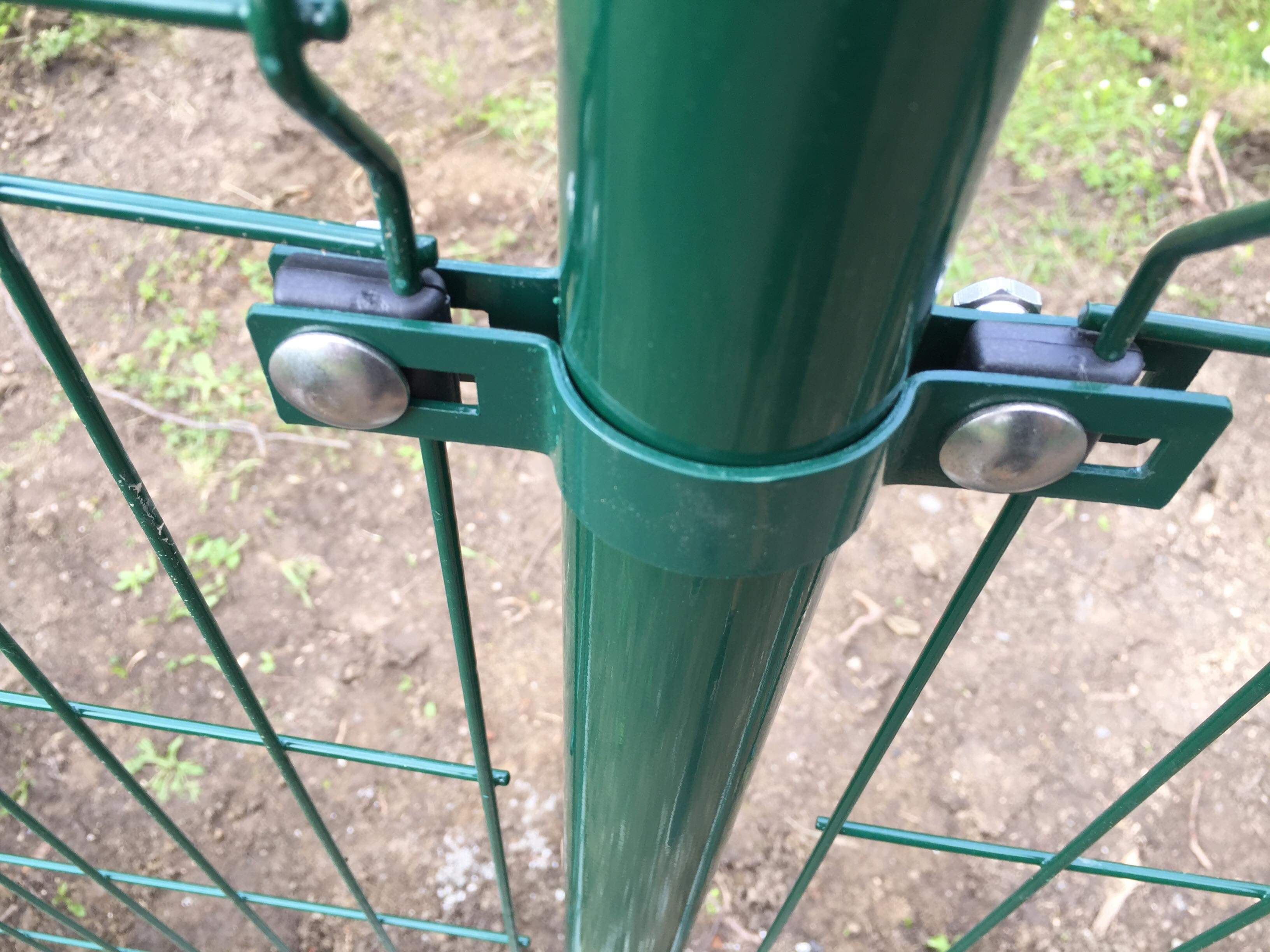 received_445036556258236