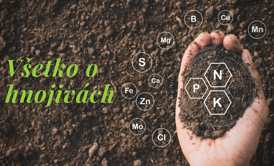 Všetko o hnojivách: Prečo sú dôležité, ako ich vybrať a aké druhy nájdete v našej ponuke