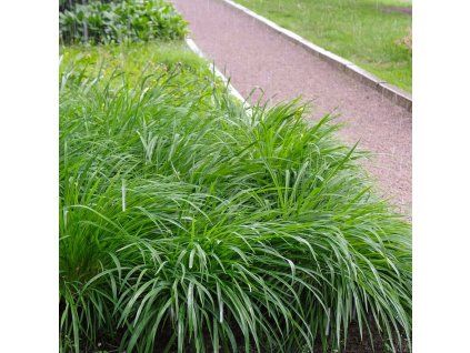 e280e44210840cf6a99a4a415e5f302c