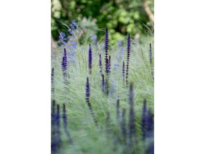 b6444053c64ebaa191f6e8adada67b67