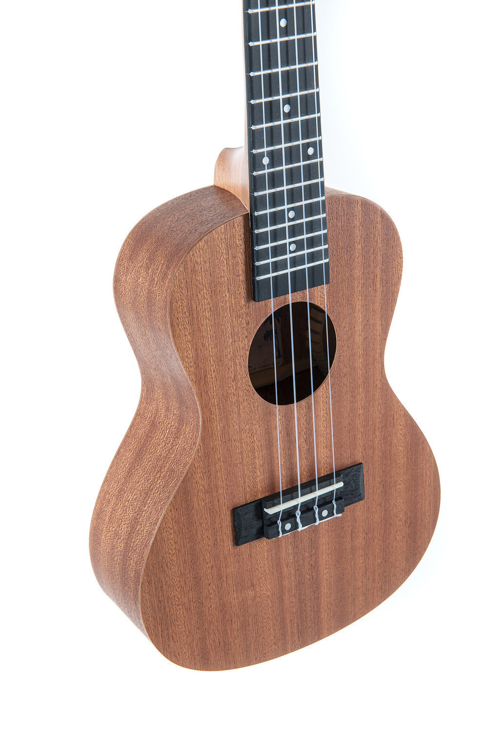 Koncertní ukulele v barvě sapelli mat. Horní deska.