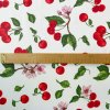 Ervi Bavlněná látka/plátno š.240 cm Třešně - 24646-2, metráž (Barva barevná, Vzor ovoce/zelenina)