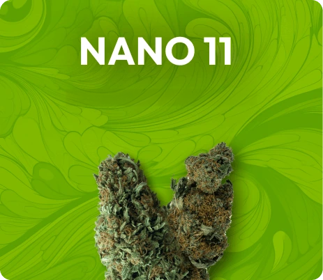 Banner NANO 11
