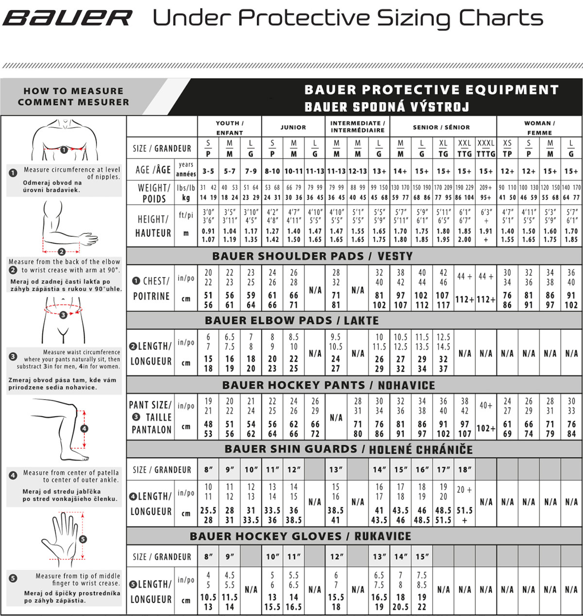 Bauer_velkosti_chranicov