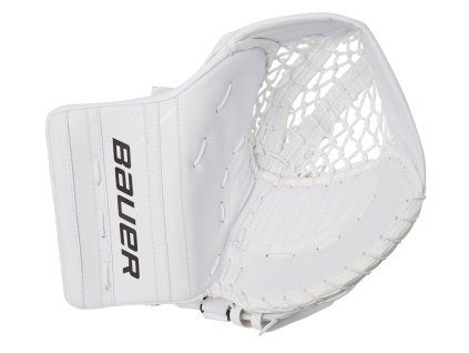 s20 lapacka bauer gsx1