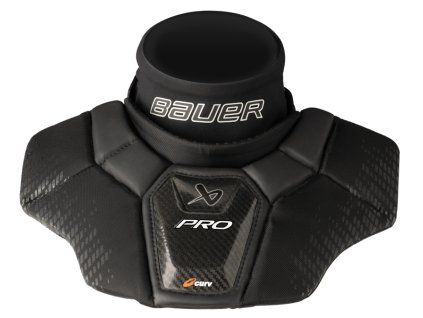 s25 chranic krku pro cert