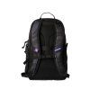1064821 bth25 bag varsity backpack clr back edit