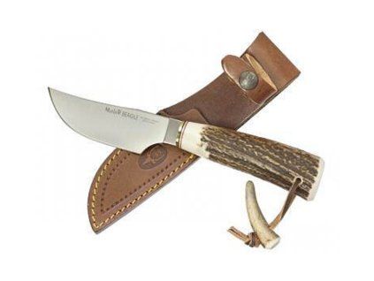 nuz muela beagle 11a