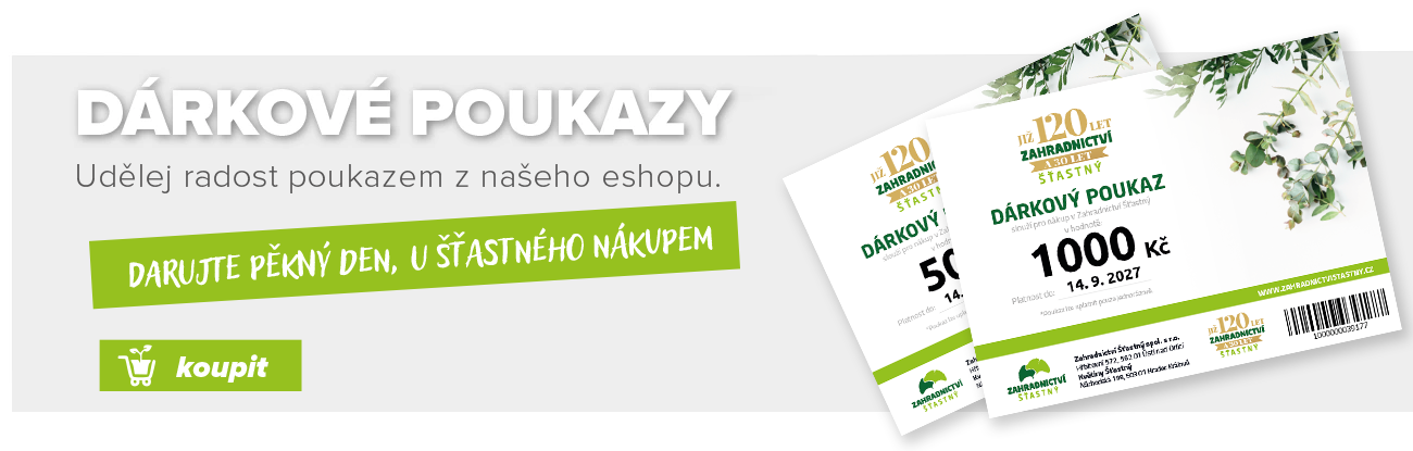 dárkovy_poukaz_květiny