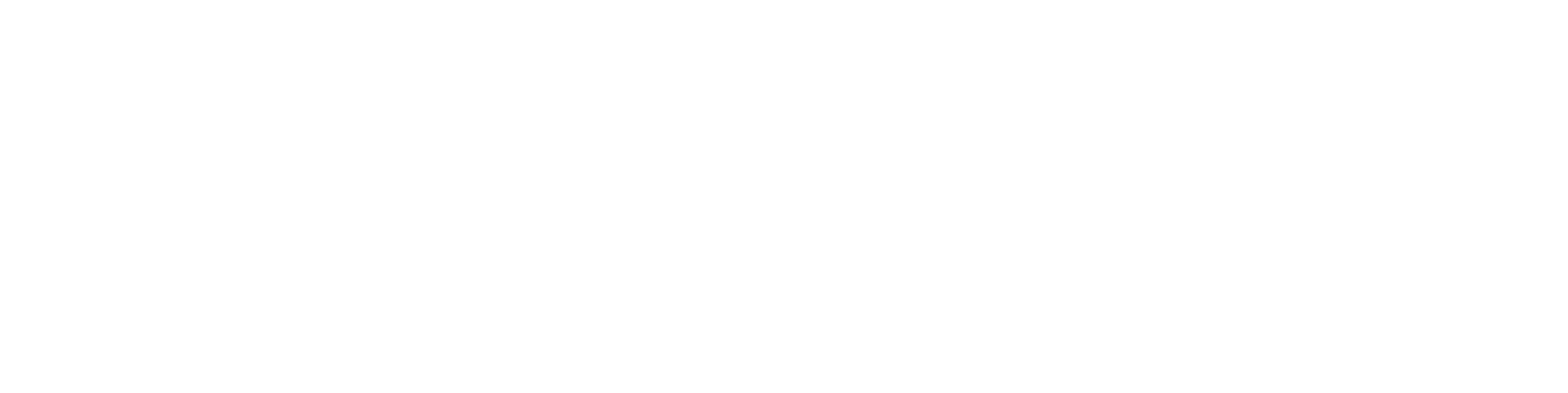 Mr Stranger Merch