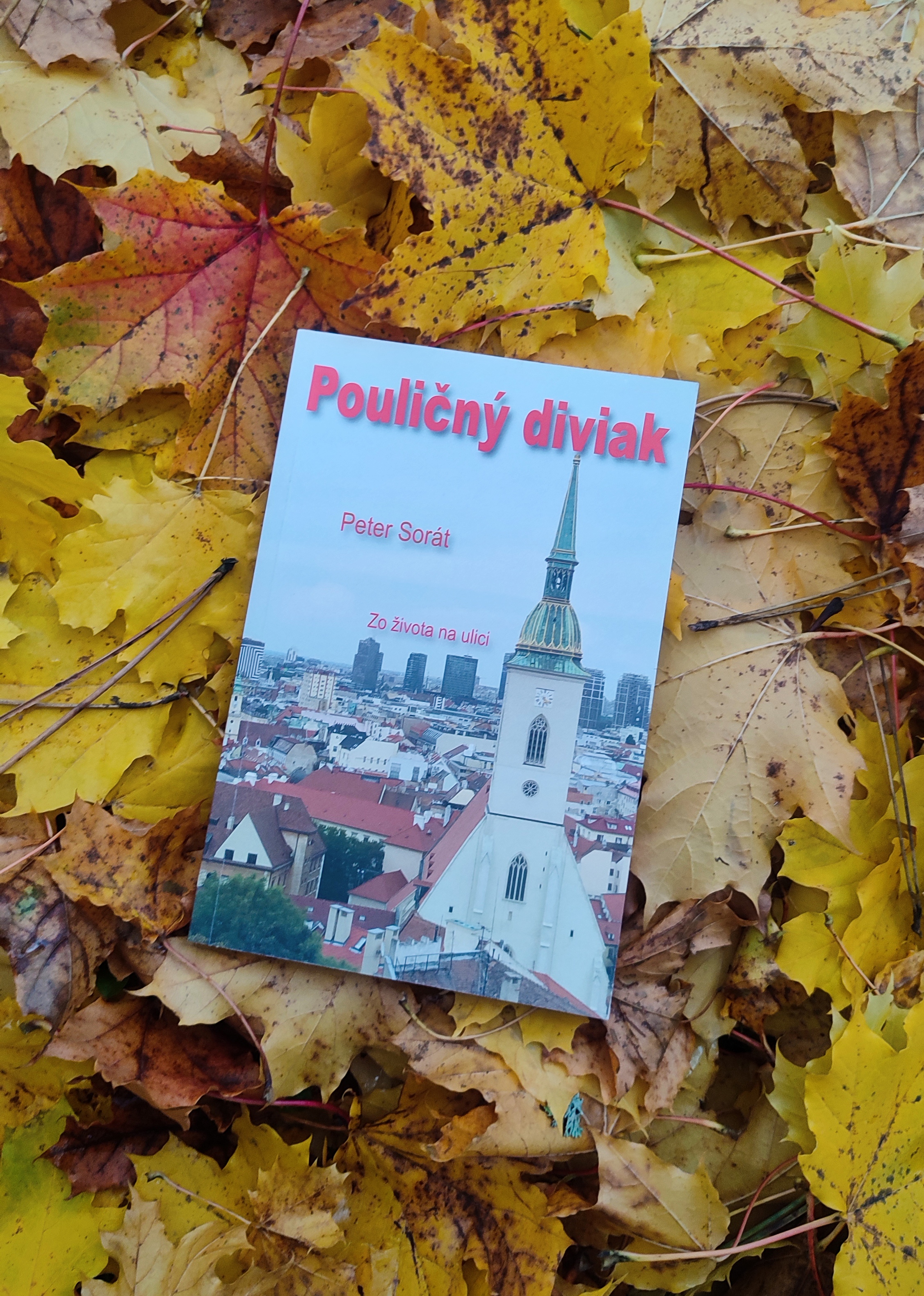 Peter-Sorat-Poulicny-diviak-kniha