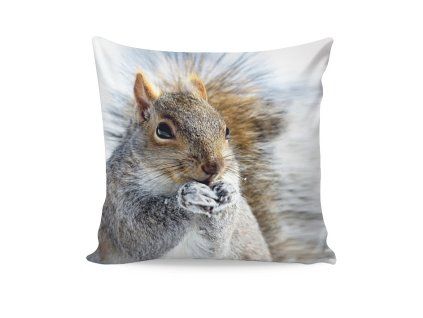 dekoracni povlak squirrel dzdg