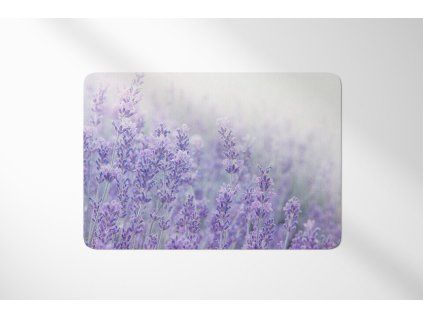 prostirani pole levandule cppx
