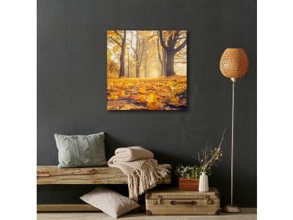 Bild Herbststraße (Größe 60x40)