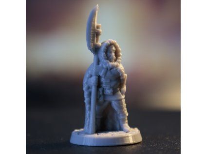 Seveřan s halapartnou