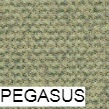 pegasus