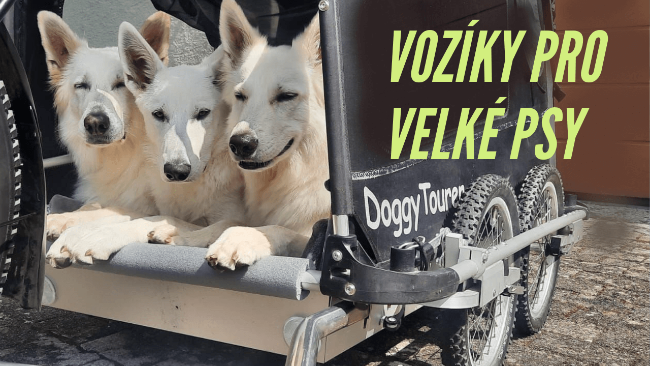 Fahrradanhänger und Kinderwagen für große und riesige Hunde