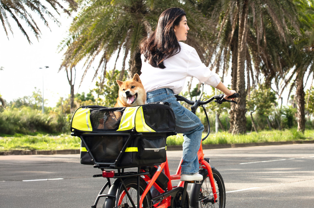 kos-na-psa-xxl-tern-2025