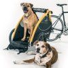 2599 5 vozik burley tail wagon dog green