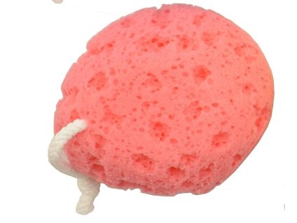 vyr 1977 161 MAGNUM myci houba