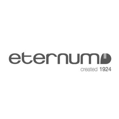 Eternum logo