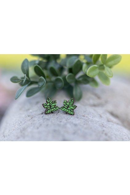 Dřevěné náušnice Dřevušky zelené listí