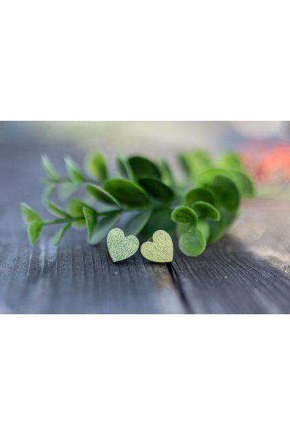 Dřevěné náušnice Dřevušky zelené lásky