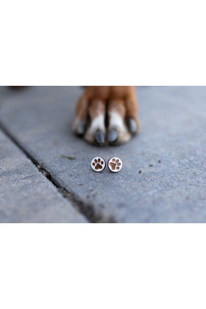 Dřevěné náušnice Dřevušky dej mi pac