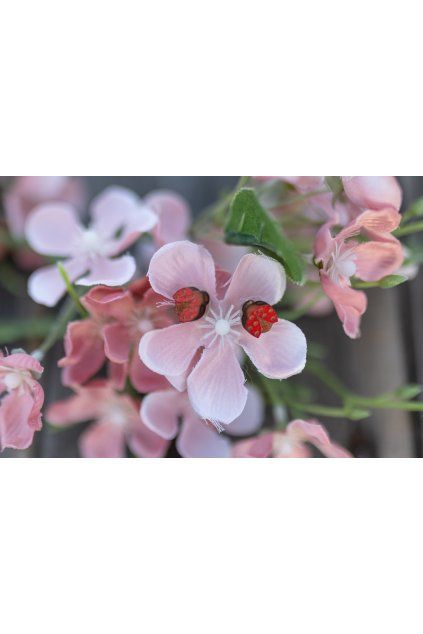 Dřevěné náušnice Dřevušky berušky