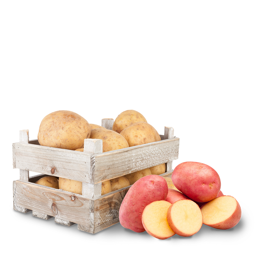 Brambory z Vysočiny