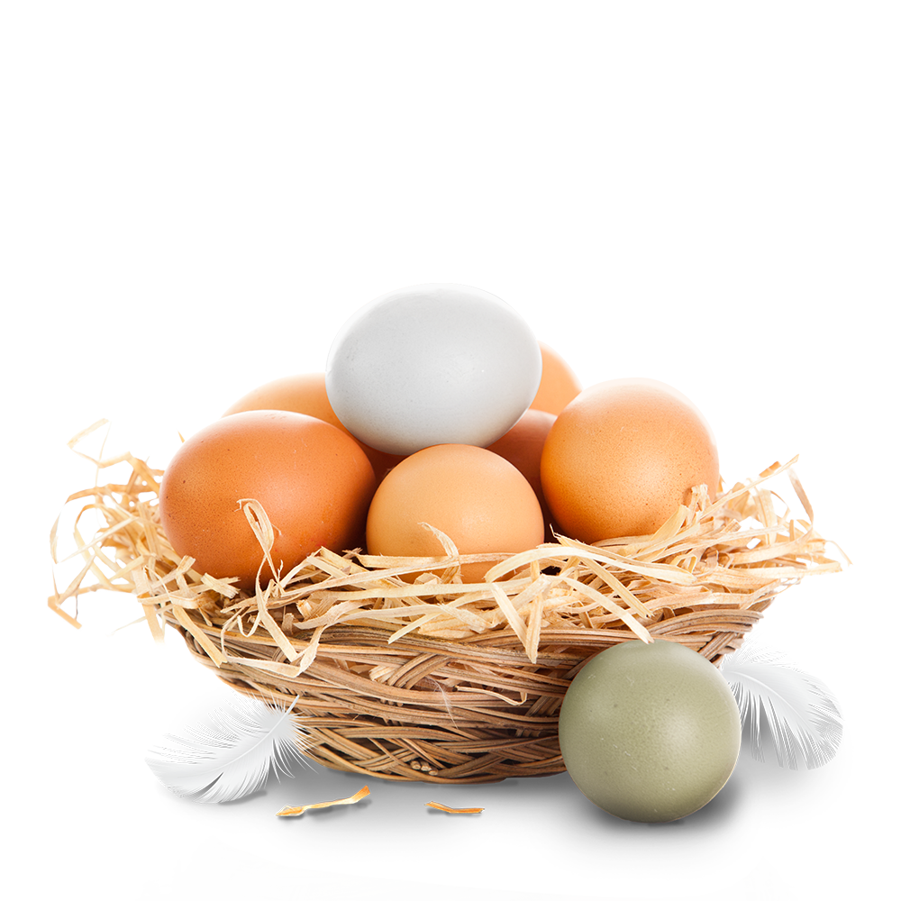 Vejce z farmy