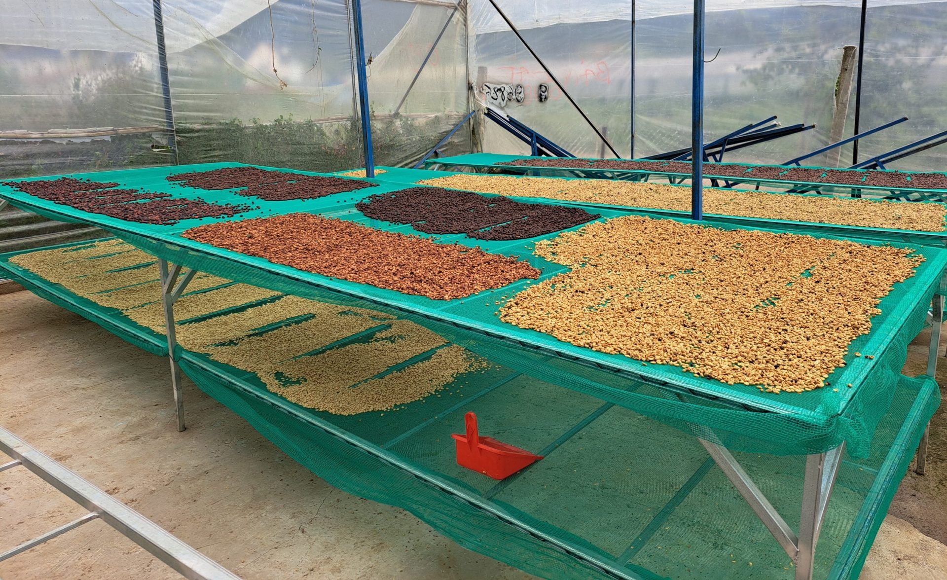 Zanya Coffee hora Vietnam