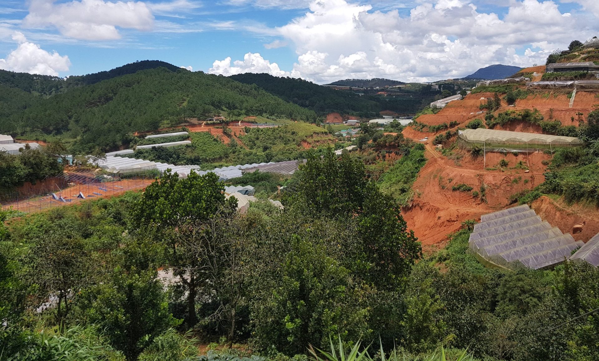 Zanya Coffee hora Vietnam