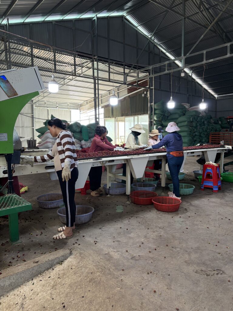 Ručné triedenie a odšupkovanie