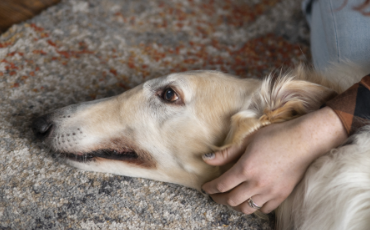 curepoint-zazracny-pomocnik-skumanie-ucinkov