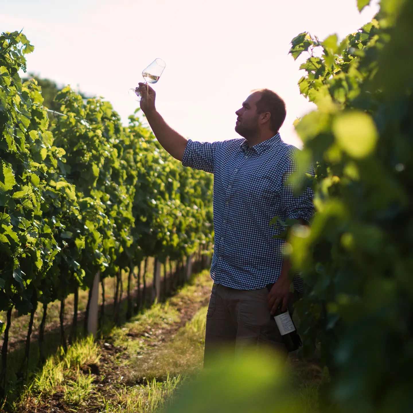 486093180_1212135674249577_6666927763558612060_n