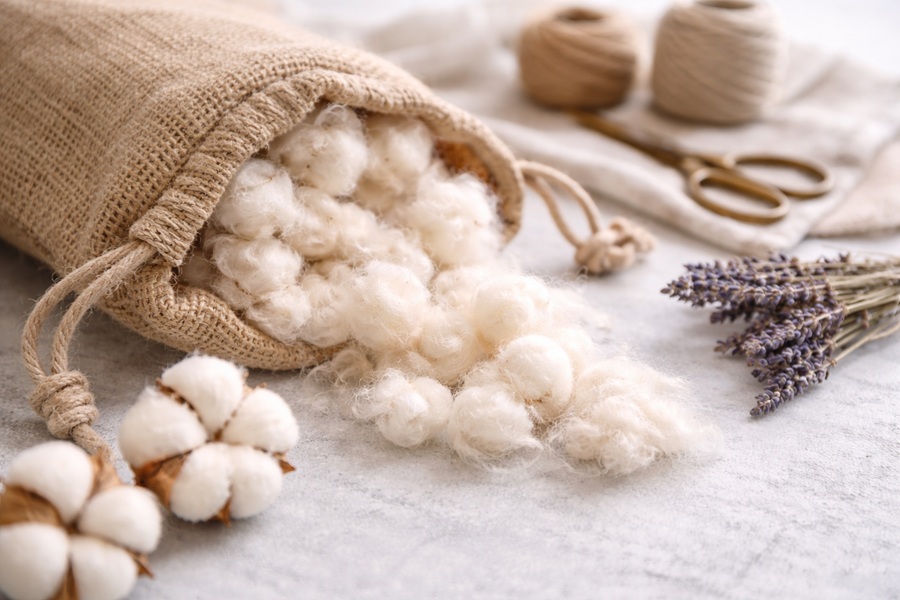 Materiály, které dávají smysl: organické, lokální a udržitelné