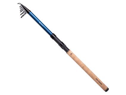 Prút MIKADO Trython Heavy Tele