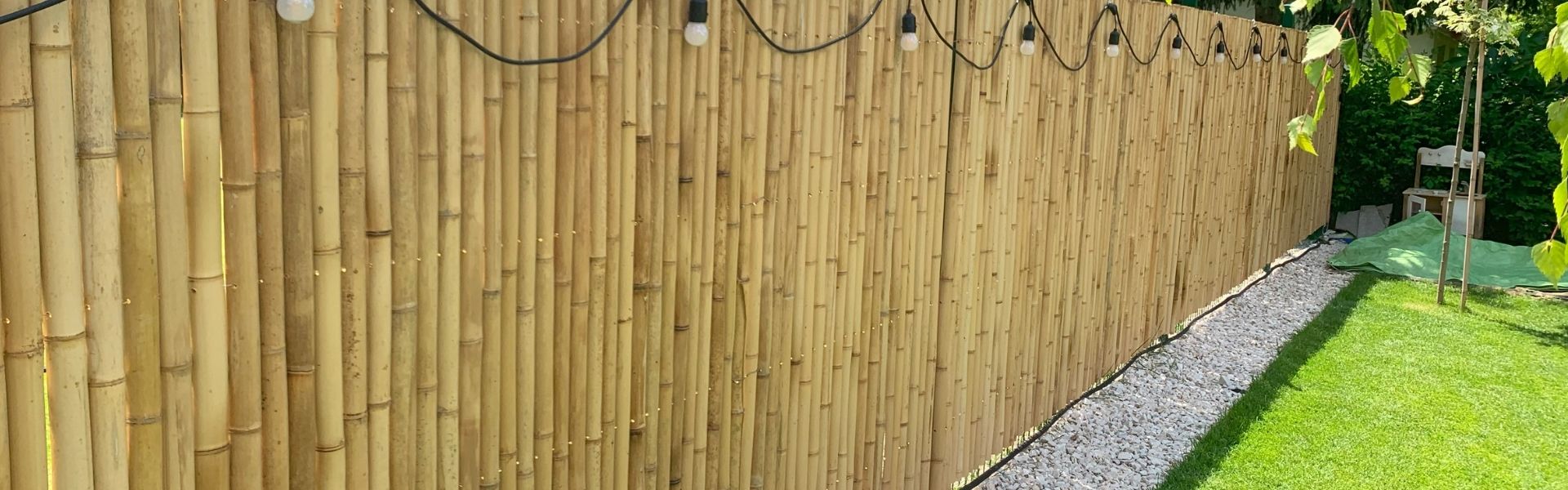 Bamboo fences