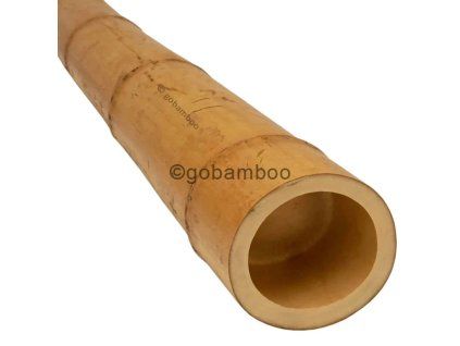 Bambusstange moso 12 14 cm