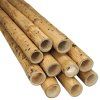 guadua bambusstange o 5 7 cm 2