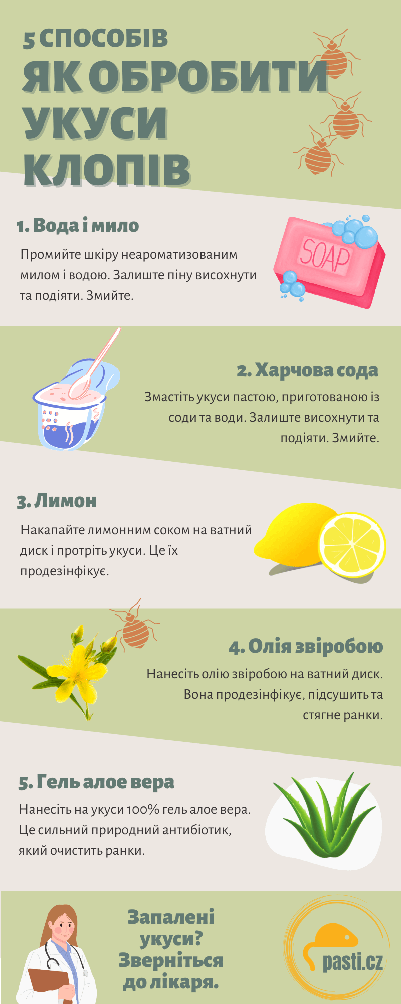 Інфографіка: 5 способів, як обробити укуси клопів