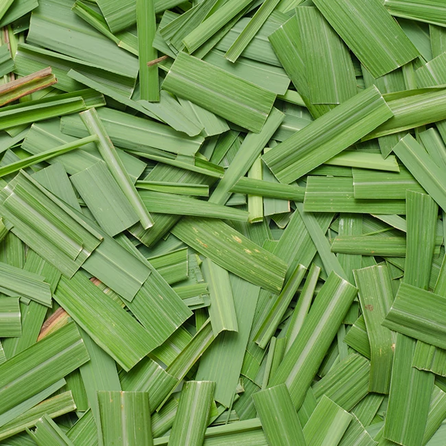 Citronela