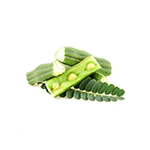 Moringa