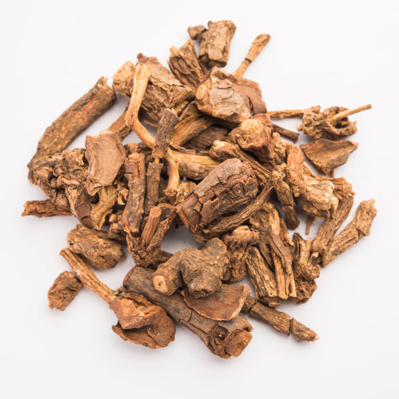 Sarsaparilla - smilax lekársky