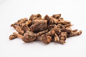 Sansaparilla